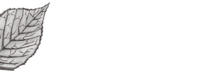 Icon Logo